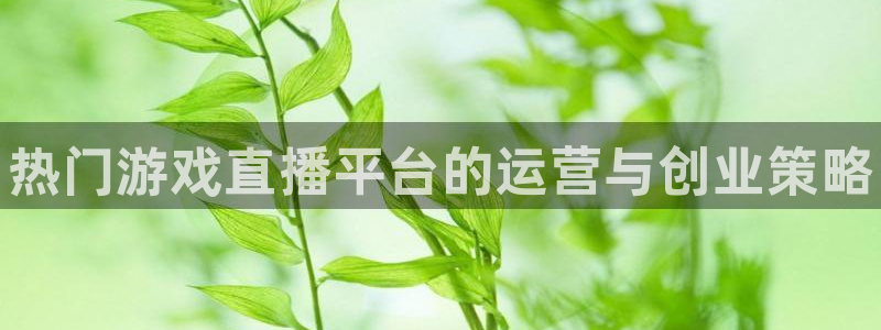 多彩娱乐网页版地址：热门游戏直播平台的运营与创业策略