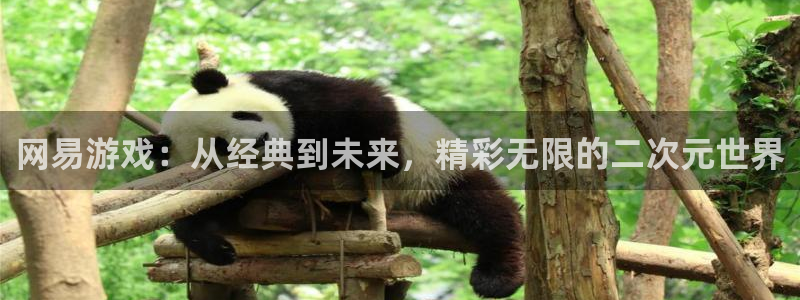 多彩娱乐注册账号