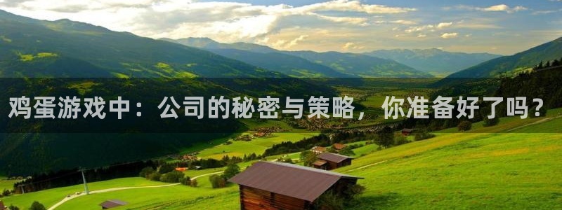 多彩娱乐的意思：鸡蛋游戏中：公司的秘密与策略，你准备好了吗？