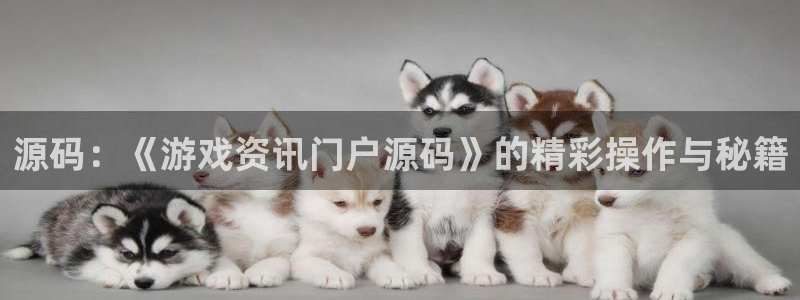 多彩娱乐娱乐是真的吗：源码：《游戏资讯门户源码》的精彩操作与