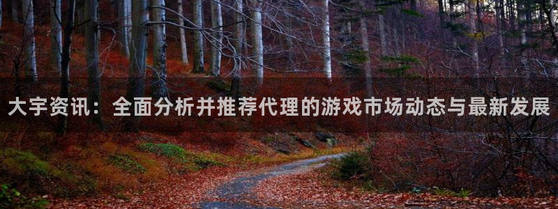 多彩娱乐测速：大宇资讯：全面分析并推荐代理的游戏市场动态与最