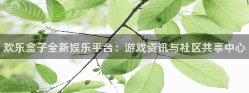 多彩娱乐代理登陆：欢乐盒子全新娱乐平台：游戏资讯与社区共享中