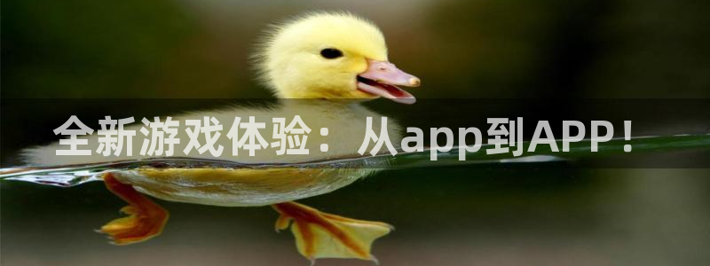 多彩娱乐注册官方登录app：全新游戏体验：从app到APP！