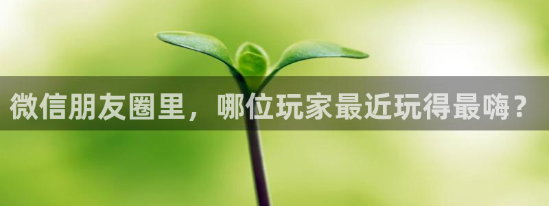 多彩娱乐2登录：微信朋友圈里，哪位玩家最近玩得最嗨？
