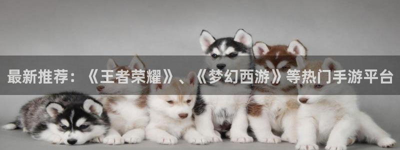 多彩娱乐平台注册：最新推荐：《王者荣耀》、《梦幻西游》等热门