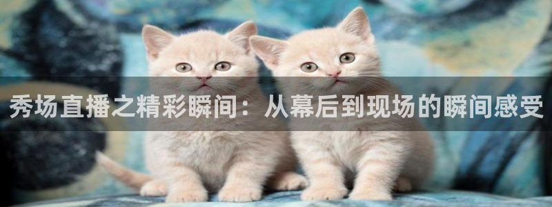 24直播网nba在线直播：秀场直播之精彩瞬间：从幕后到现场的瞬间感受