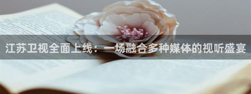 足球直播24直播网在线