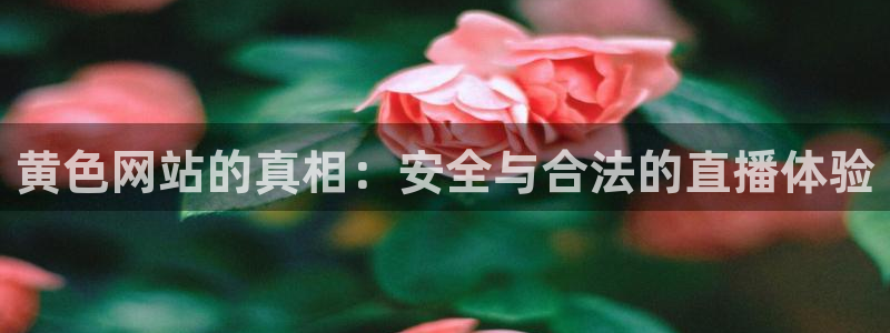 24直播网 nba直播吧：黄色网站的真相：安全与合法的直播体验