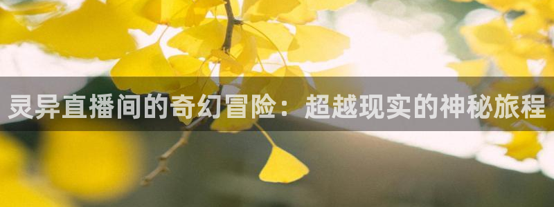 nba直播 24直播：灵异直播间的奇幻冒险：超越现实的神秘旅程