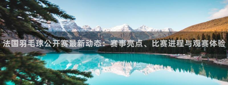 24直播体育直播nba直播：法国羽毛球公开赛最新动态：赛事亮点、比赛进程与观赛体验