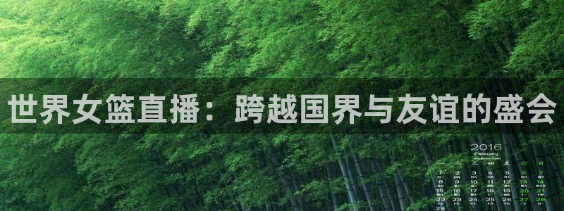 24直播免费篮球直播：世界女篮直播：跨越国界与友谊的盛会