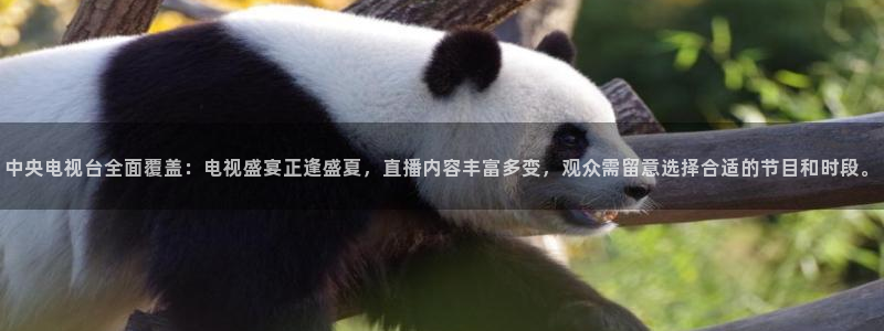24直播网nba直播足球：中央电视台全面覆盖：电视盛宴正逢盛夏，直播内容丰富多变，观众需留意选择合适的节目和时段。
